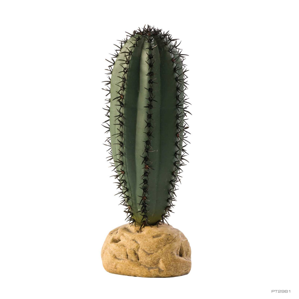 Exo Terra Saguaro Cactus 16cm (PT2981) | PeekAPaw Pet Supplies