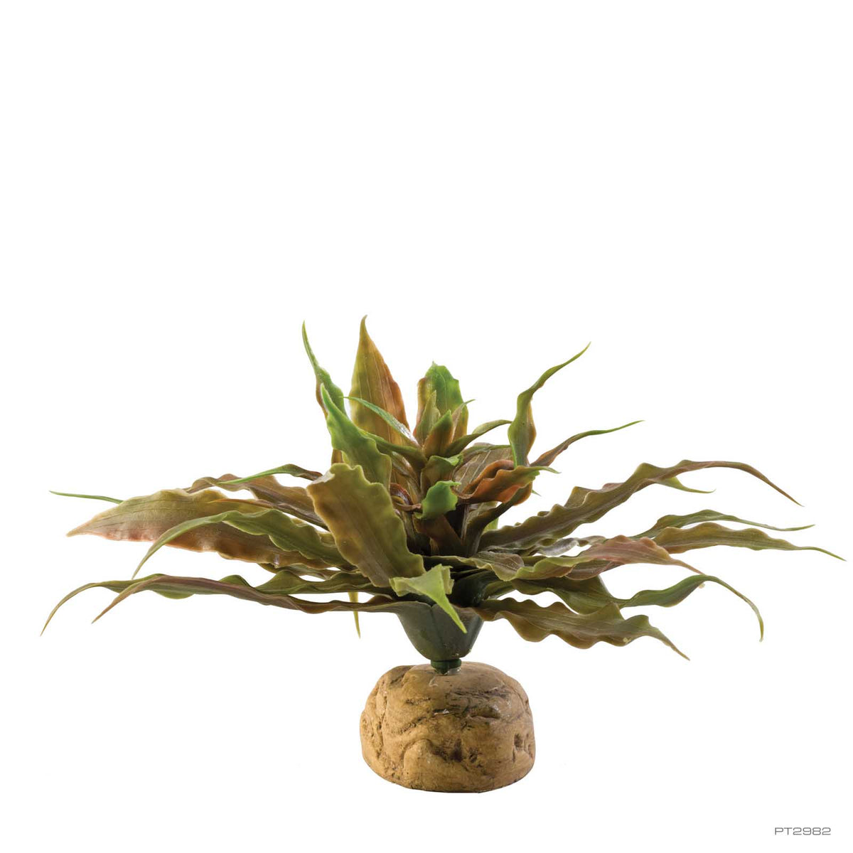 Exo Terra Star Cactus 23cm (PT2982) | PeekAPaw Pet Supplies