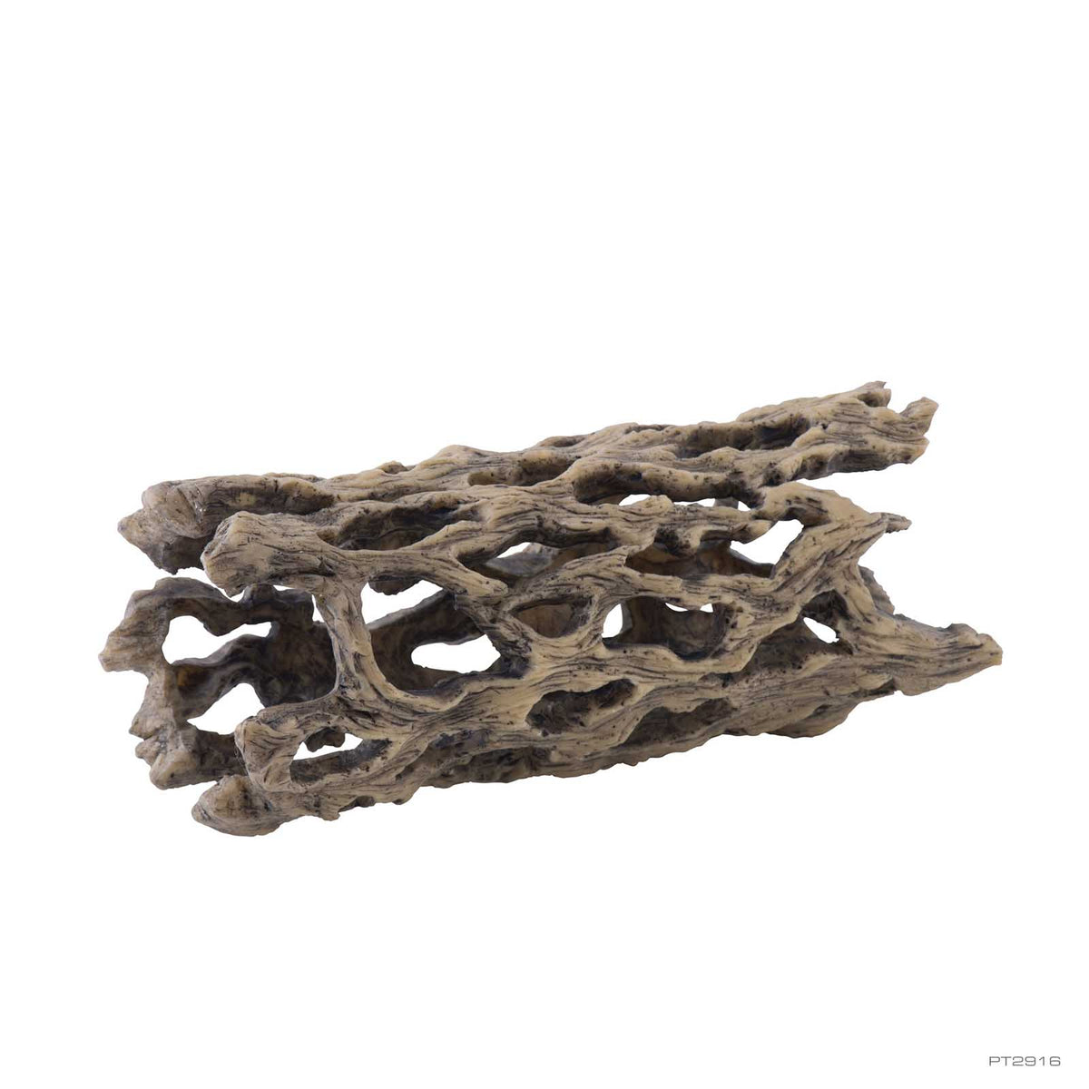 Exo Terra Cholla Cactus Skeleton Medium 9 x 19.8 x 7.7cm (PT2988) | PeekAPaw Pet Supplies