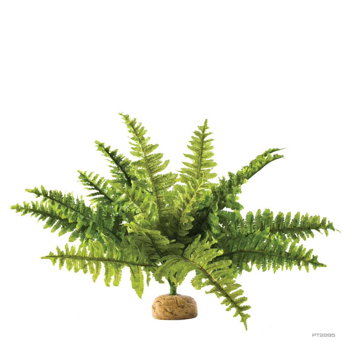 Exo Terra Boston Fern Medium 40cm (PT2995) | PeekAPaw Pet Supplies