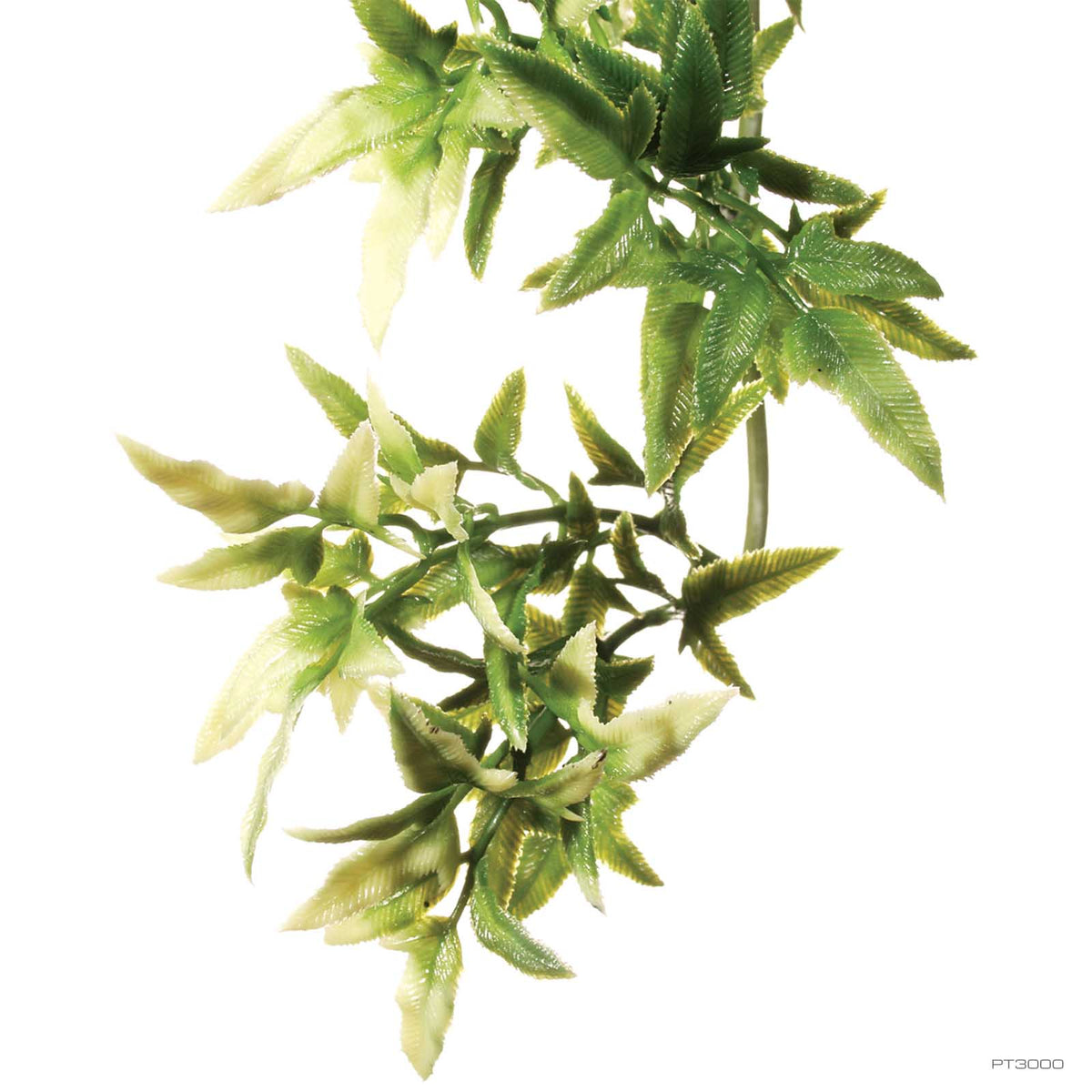 Exo Terra Forest Plant Croton Small (PT3000) | PeekAPaw Pet Supplies