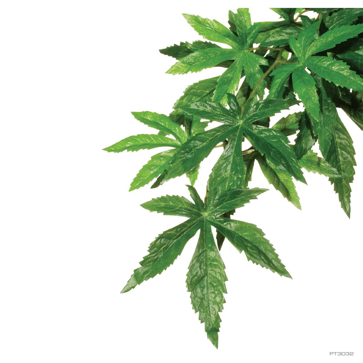 Exo Terra Forest Plant Abutilon Small (PT3032) | PeekAPaw Pet Supplies