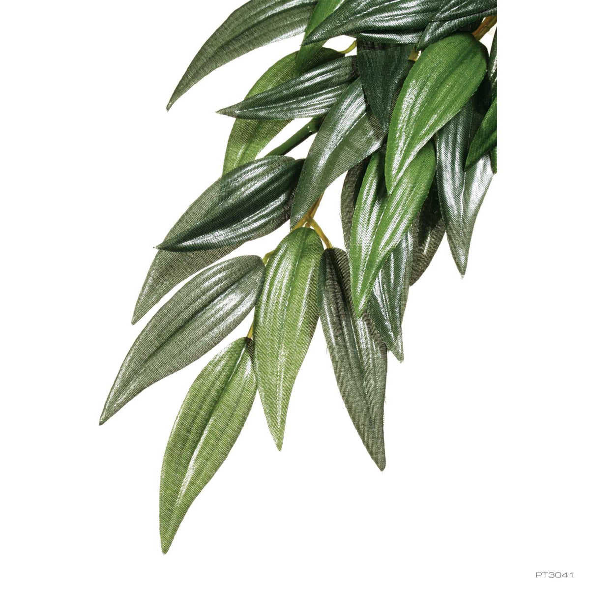 Exo Terra Forest Plant Ruscus Medium (PT3041) | PeekAPaw Pet Supplies