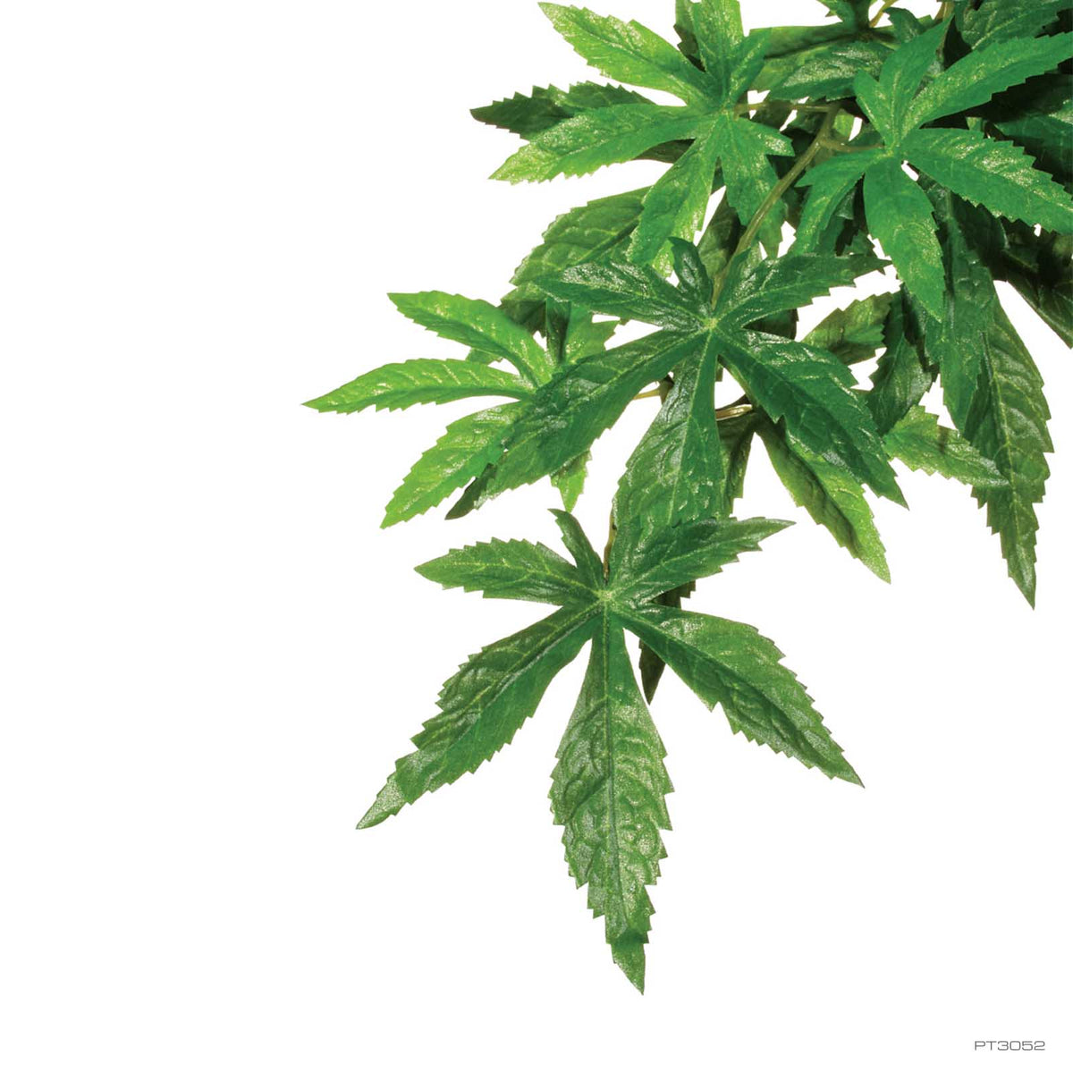 Exo Terra Forest Plant Abutilon Large (PT3052) | PeekAPaw Pet Supplies