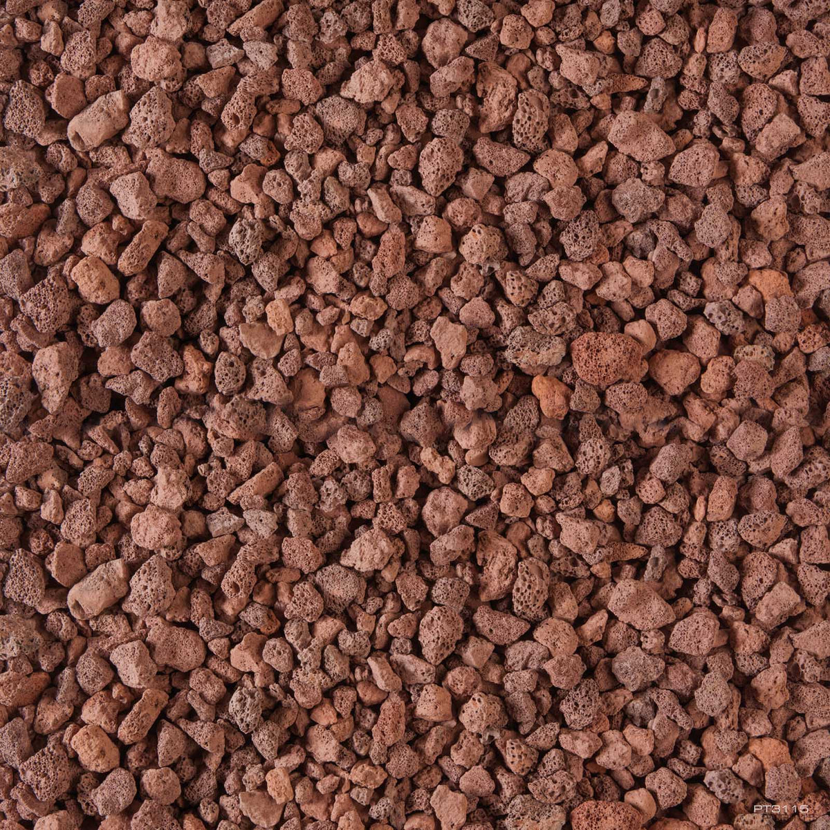 Exo Terra Bio Drain Substrate 2kg drainage layer (PT3115) | PeekAPaw Pet Supplies