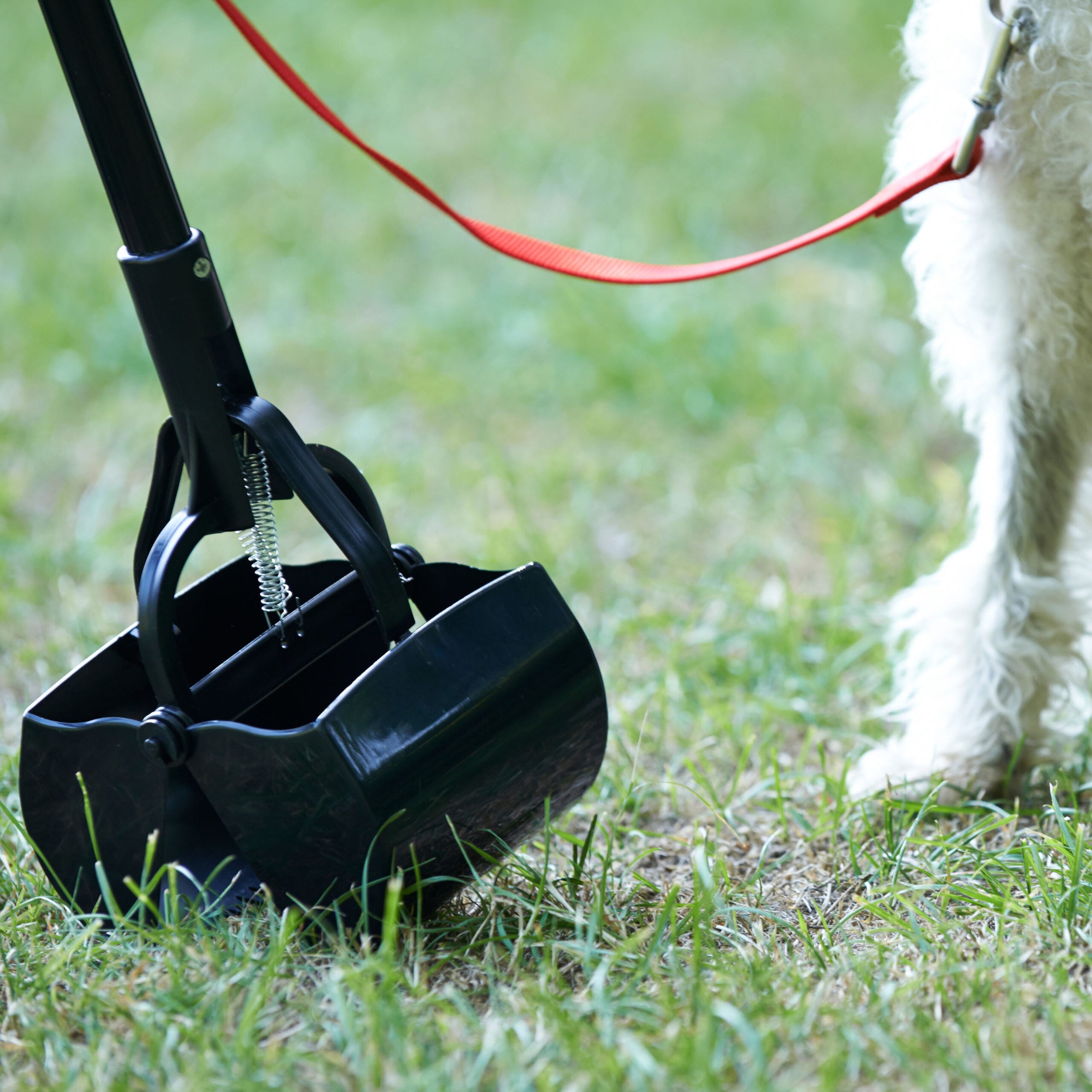 Superior Pet Goods Plastic Pooper Scooper being used on lawn