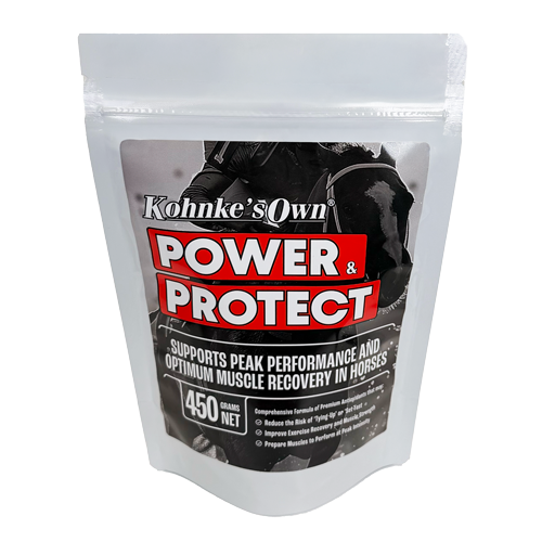 Kohnke's Own Power & Protect horse recovery supplement 450g pack