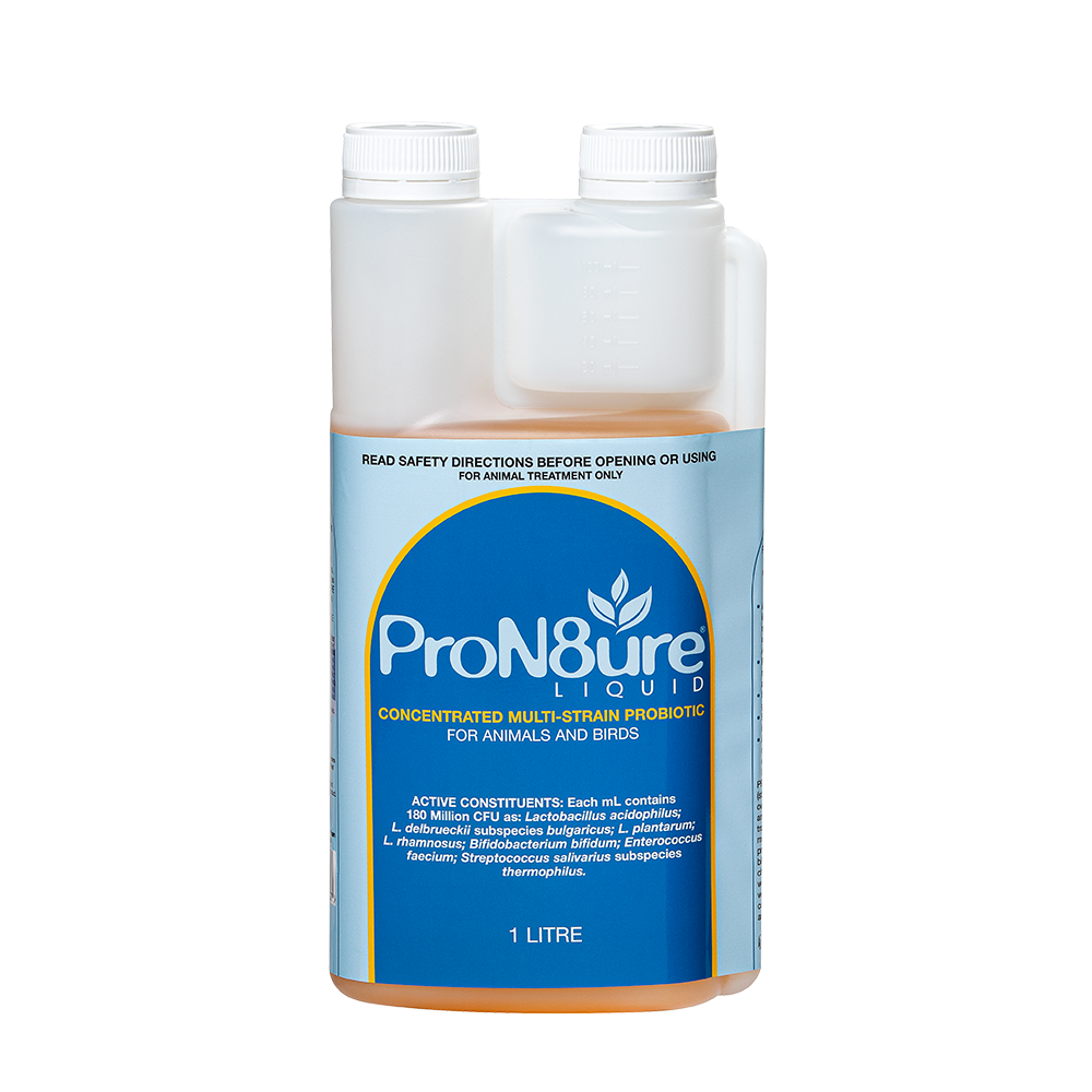 ProN8ure Liquid Multi-Strain Probiotic 1L bottle - International Animal Health
