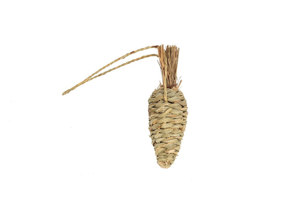 Nature Island Small Animals Toys Seagrass Carrot Chew