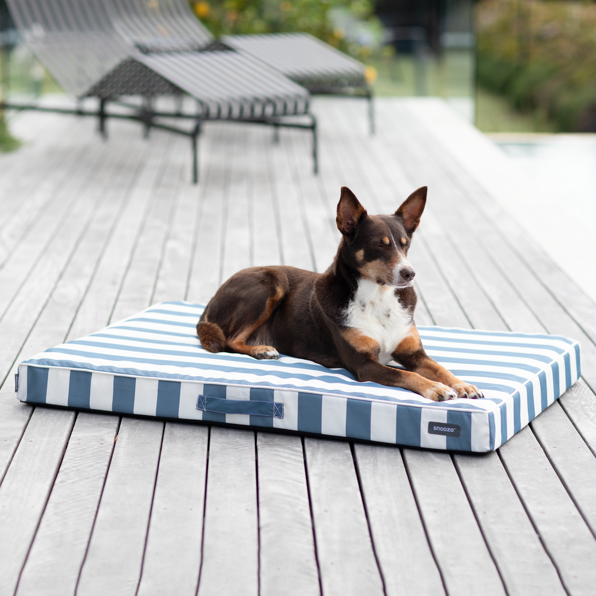 Snooza Alfresco Dream Orthobed in Ocean Blue Stripe, outdoor orthopaedic mat