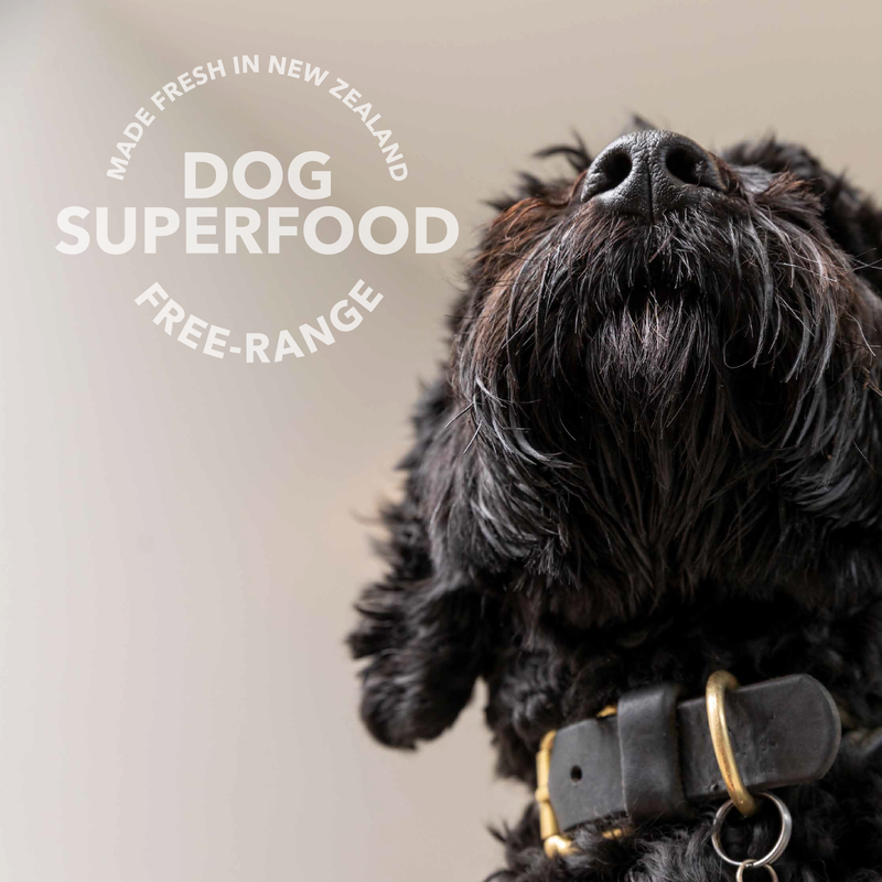 K9 Natural Lamb Green Tripe dog superfood