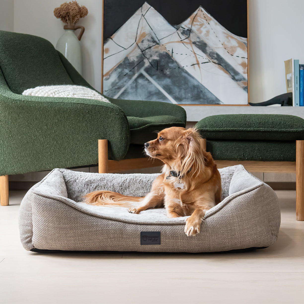 Lowered entry detail on the Superior Pet Goods Ortho Haven in Puppacino