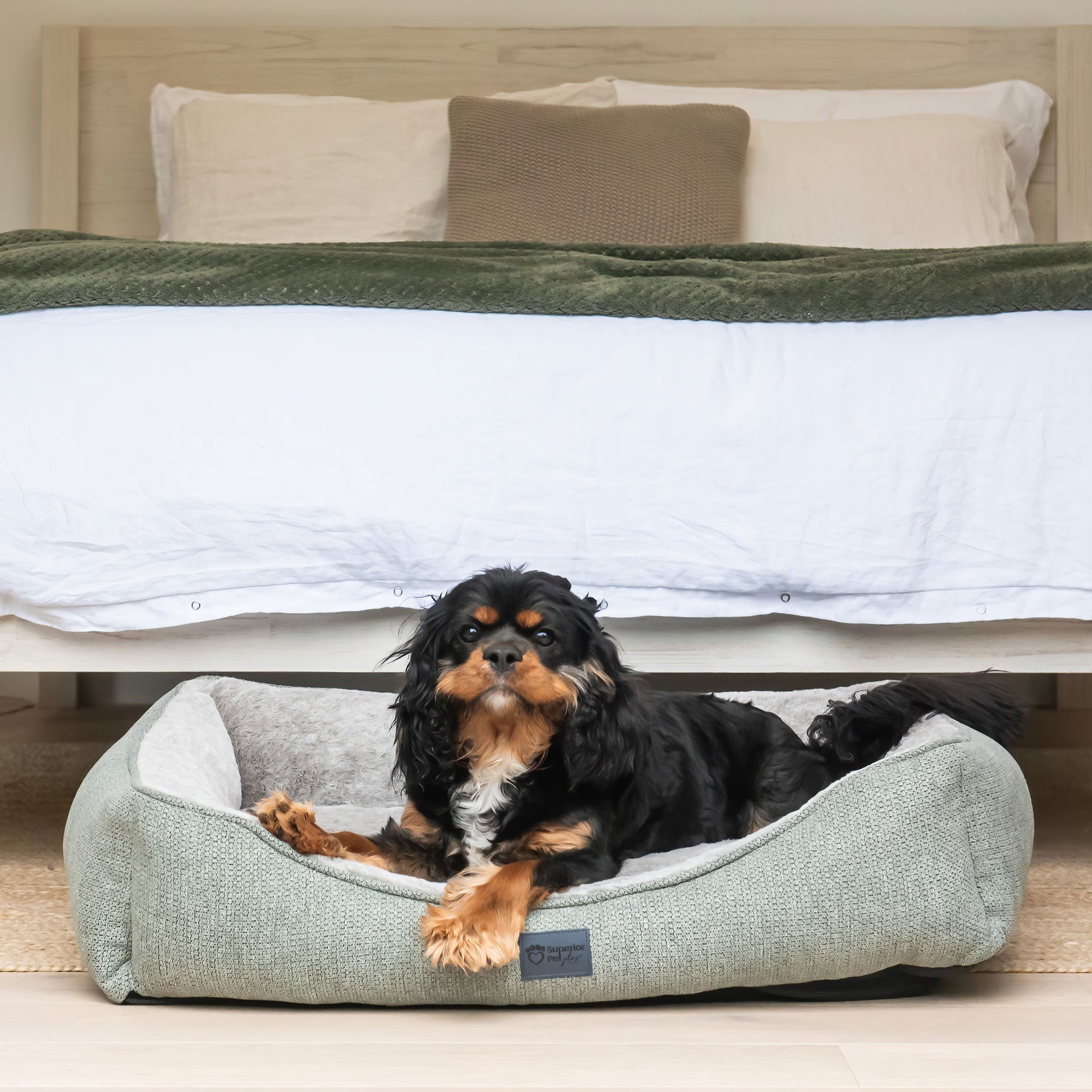 Dog resting in a Superior Pet Goods Ortho Haven in Sage