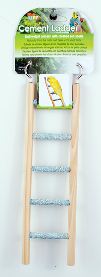 Penn Plax Cement Bird Ladder with Wood Frame - 5 Step | PeekAPaw Pet Supplies