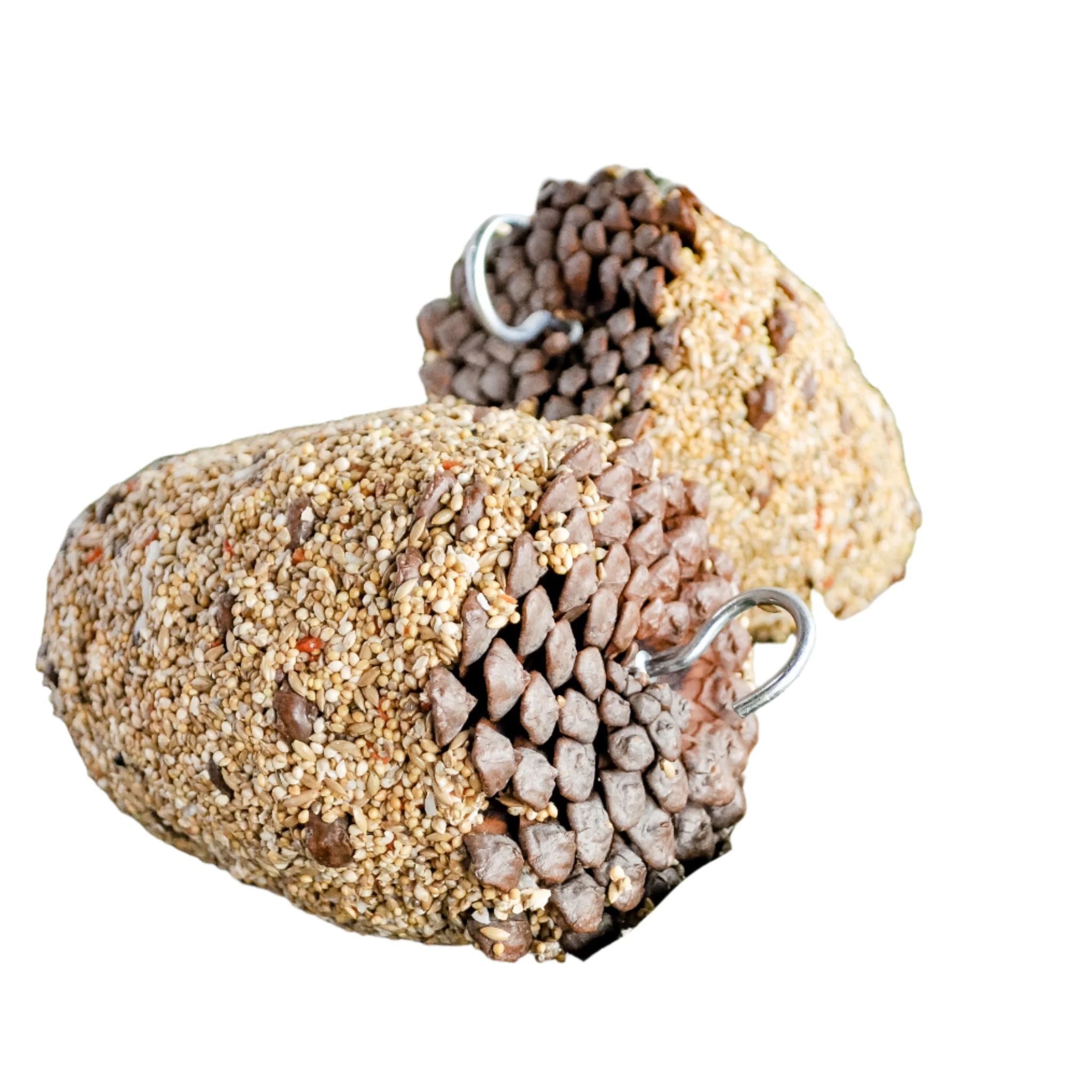 Forage Gourmet Bird Seed - Pinecone Bird Treats