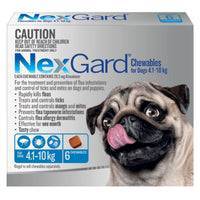 NexGard Chewables carton for dogs, blue 4.1-10 kg band, six-chewable pack