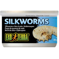 34g tin of Exo Terra Silkworms reptile treats, front of pack