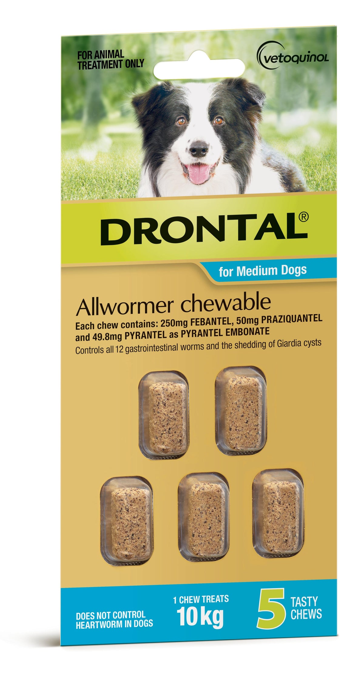Drontal Allwormer chewable for medium dogs up to 10kg, 5 chews – front of pack
