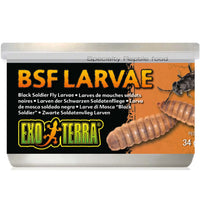 34g tin of Exo Terra BSF Larvae, black soldier fly larvae reptile treats