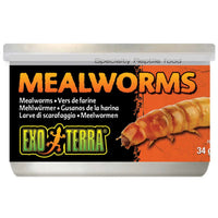 Front label of the Exo Terra Mealworms 34g tin for reptiles
