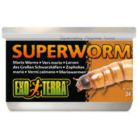 34g tin of Exo Terra Superworm reptile treats, front of pack