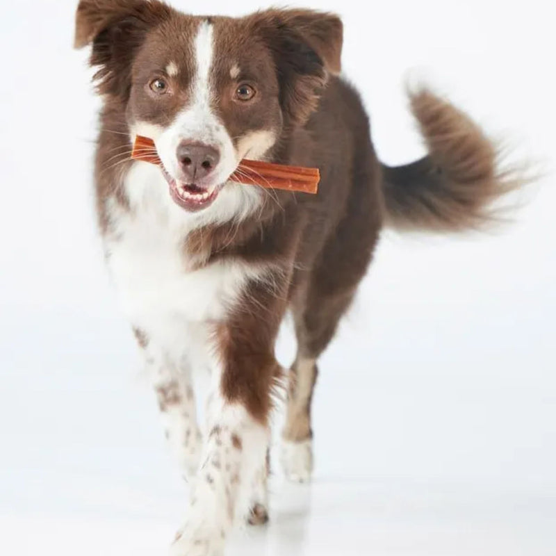 Whimzees Dental Dog Treats Stix| PeekAPaw Pet Supplies