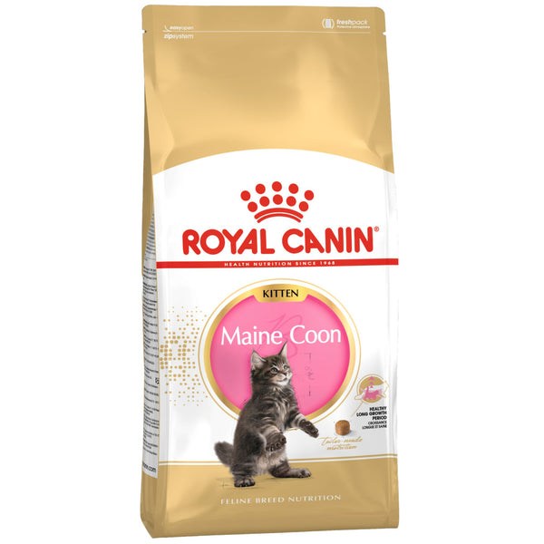 Royal Canin Dry Cat Food Maine Coon Kitten