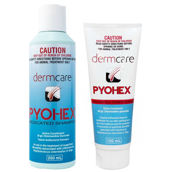 Dermcare Pyohex Medicated Shampoo and Conditioner Starter Pack