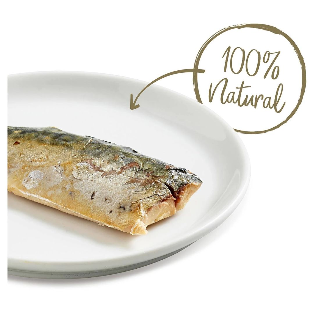 Applaws Natural Cat Treat Whole Mackerel Loin | PeekAPaw Pet Supplies