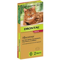 Drontal Allwormer carton for large cats, two tablets, with a ginger tabby on the front