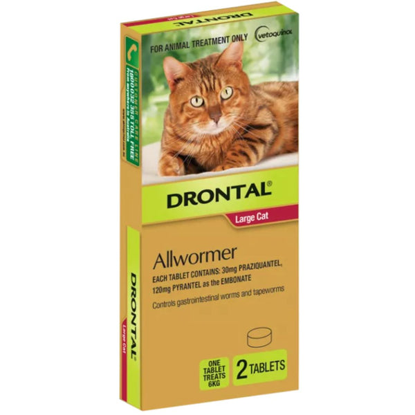 Drontal Allwormer Tablets for Large Cats 6 kg