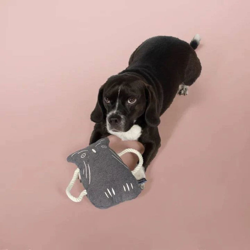 Fringe Studio Owl Canvas Tug Dog Toy  | PeekAPaw Pet Supplies