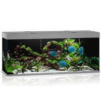 Juwel RIO 450L rectangular LED aquarium planted with discus, on a grey base cabinet