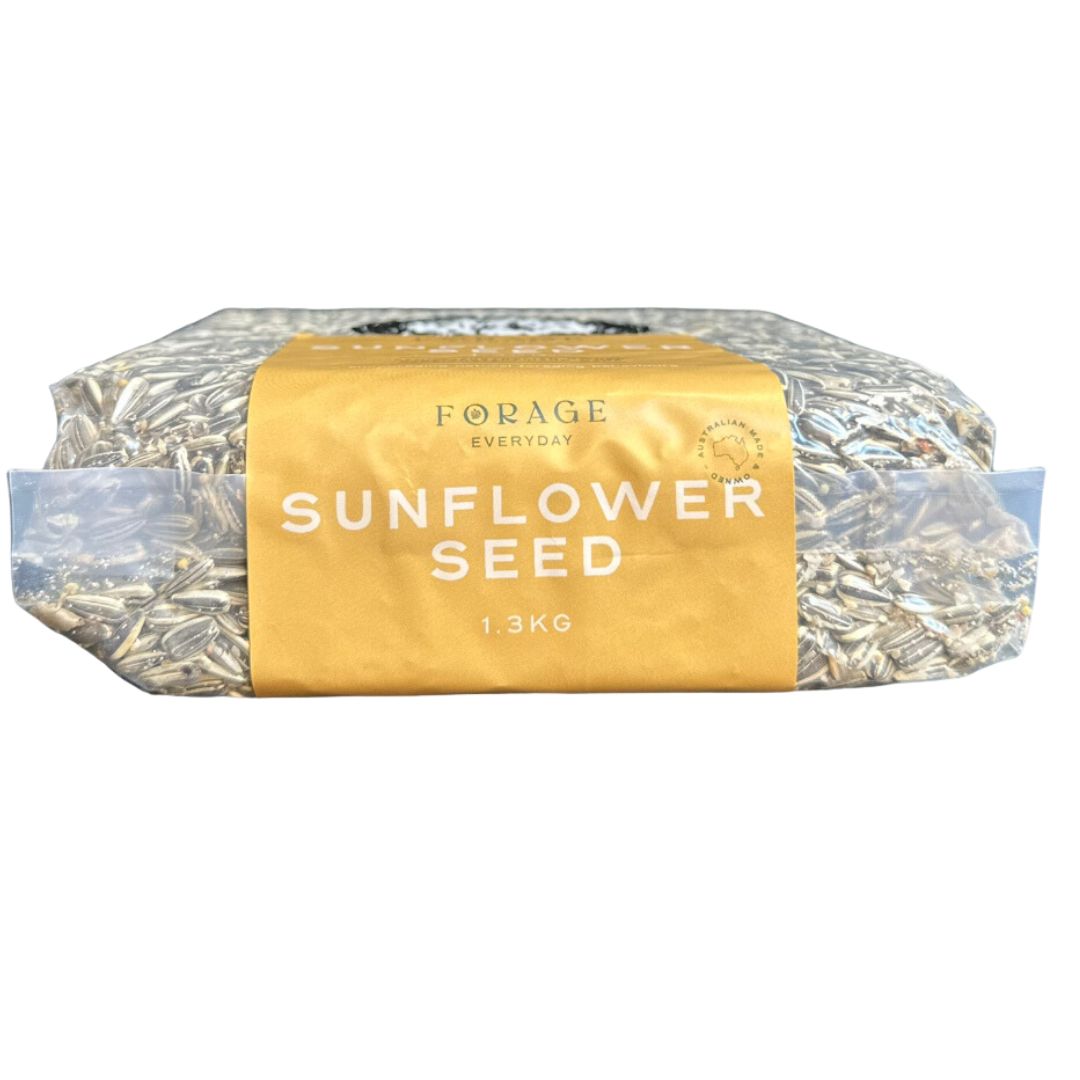 Forage Everyday Bird Seeds Sunflower - 1.3kg | PeekAPaw Pet Supplies