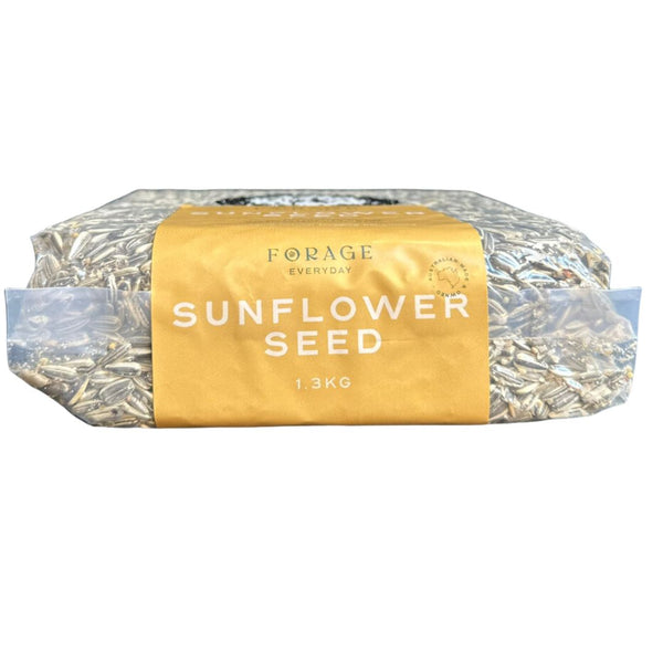 Forage Everyday Bird Seeds Sunflower - 1.3kg | PeekAPaw Pet Supplies