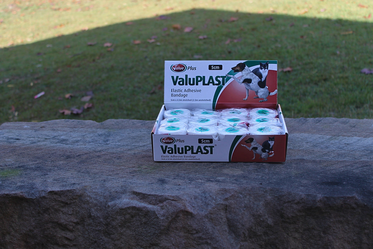 Value Plus ValuPLAST elastic adhesive bandage 5cm roll