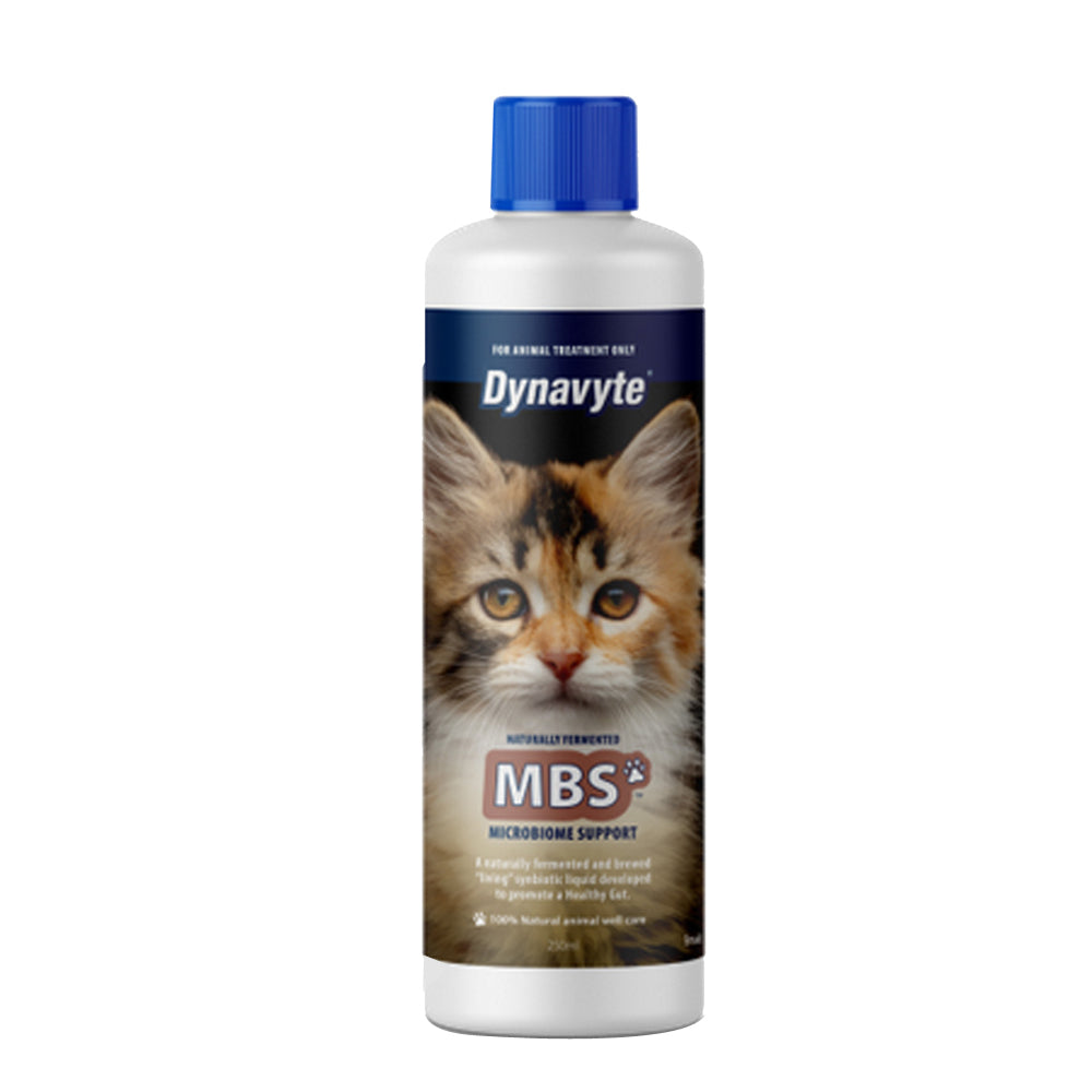 Dynavyte Microbiome Support for Cats front of pack