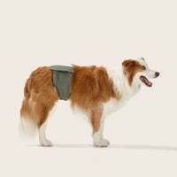 Snooza Washable Dog Nappy Band for male dogs in Steel, twin pack