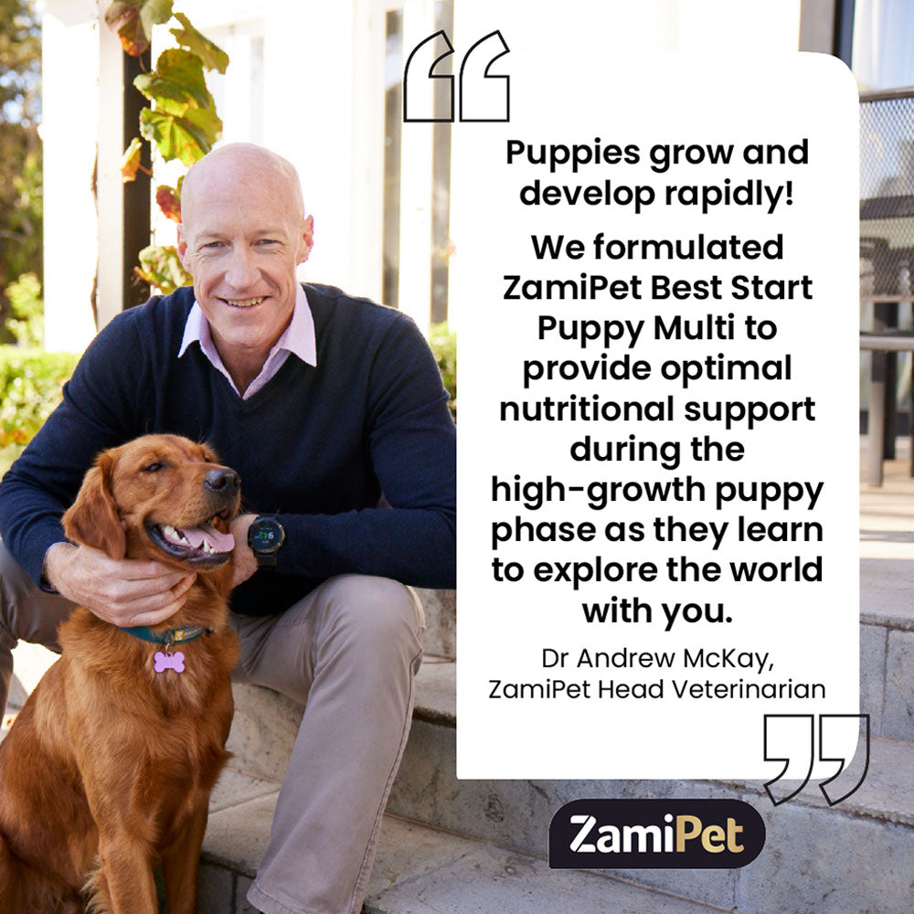 Zamipet Best Start Puppy Multi