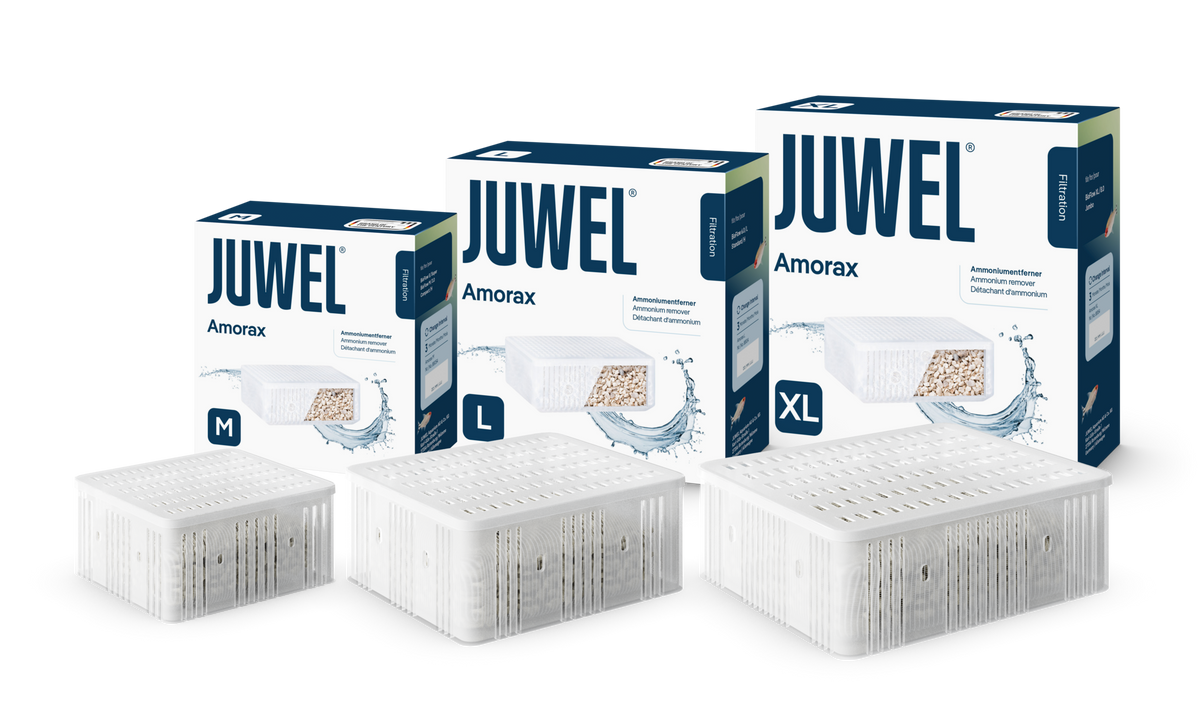 Juwel Amorax ammonium remover in Medium, Large and XLarge packs