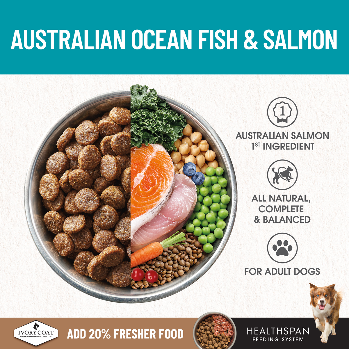 Ivory Coat Australian salmon and ocean fish as first ingredients, shown with kibble and vegetables