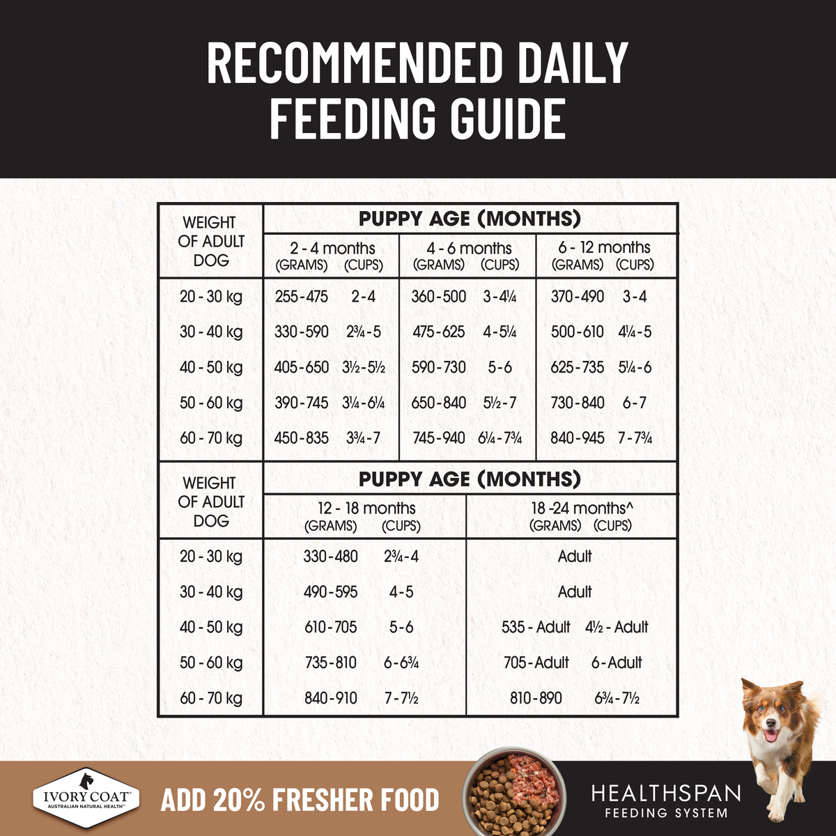 Ivory Coat large breed puppy feeding guide, grams and cups per day by adult weight and age