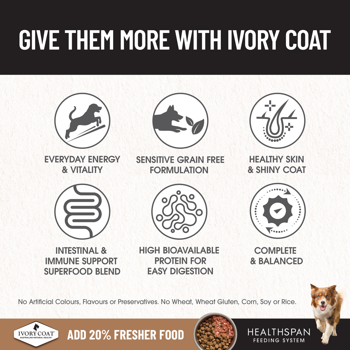 Ivory Coat benefits: energy, grain free, skin and coat, immune support, bioavailable protein