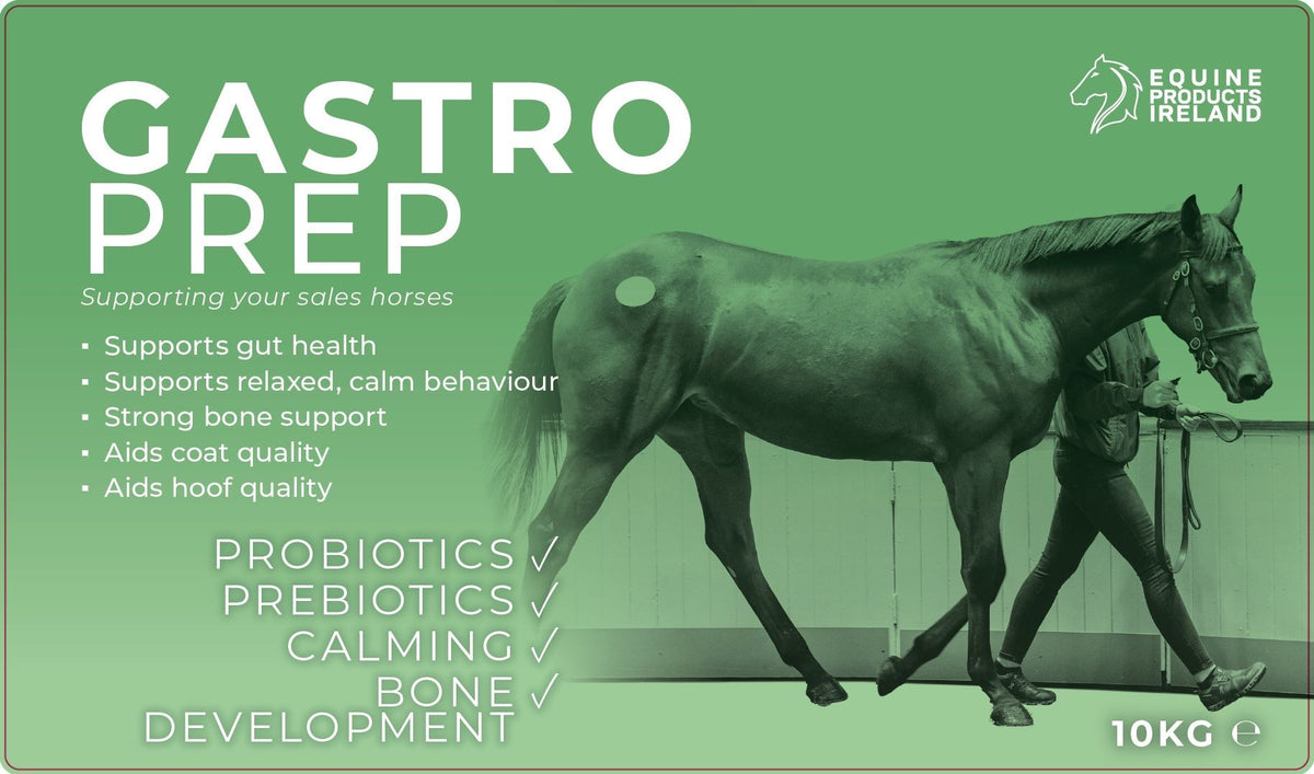 Equine Products Ireland Gastro Prep 10kg tub