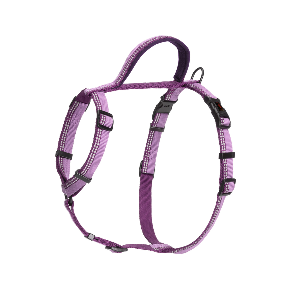 Halti Walking Harness - Small Purple | PeekAPaw Pet Supplies