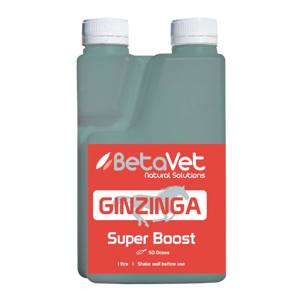 BetaVet Ginzinga Super Boost 1 litre bottle – front of pack