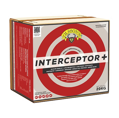 Olssons Interceptor Block 2kg