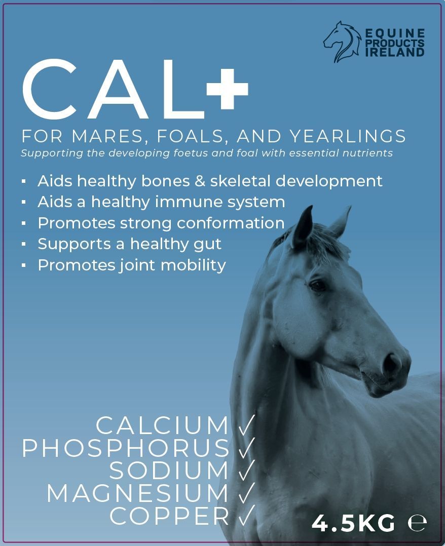 Equine Products Ireland Cal + Broodmare & Young Horse 4.5kg tub