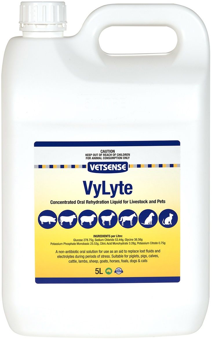 Vetsense VyLyte Concentrated Oral Rehydration Liquid 5L pack