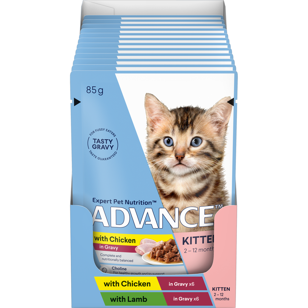 ADVANCE Kitten Wet Cat Food Chicken & Lamb in Gravy 12x85g Pouches - 85g x 12 | PeekAPaw Pet Supplies